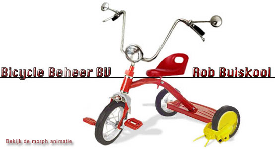 Bicycle Beheer bv - Rob Buiskool